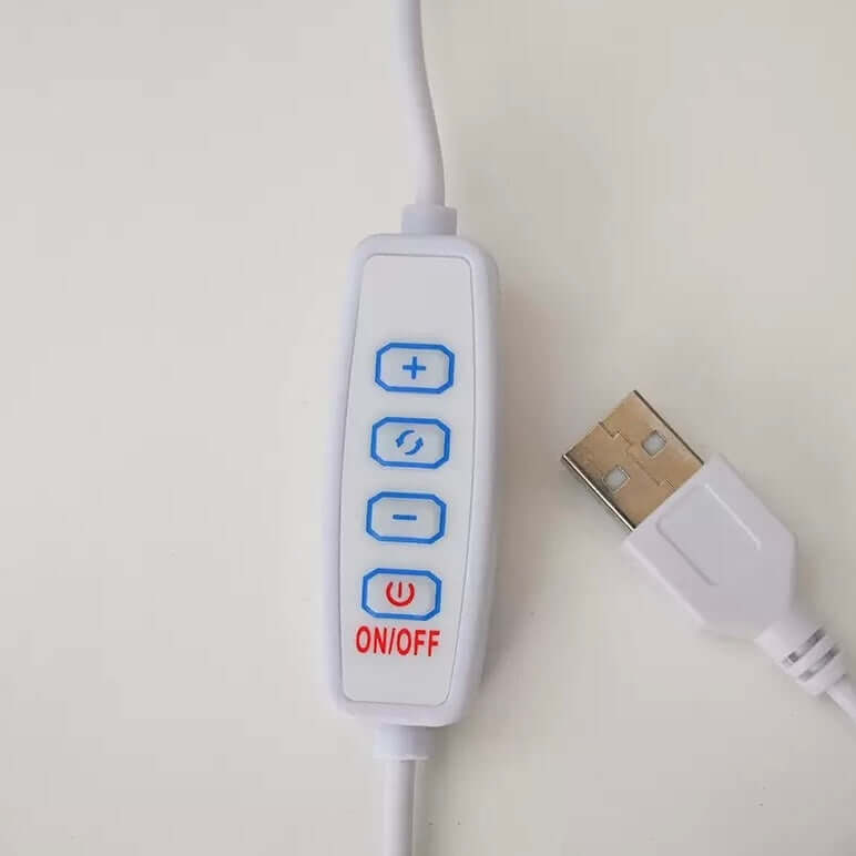 Bauhaus Conch Table Lamp – Glass LED Desk & Bedside Lamp