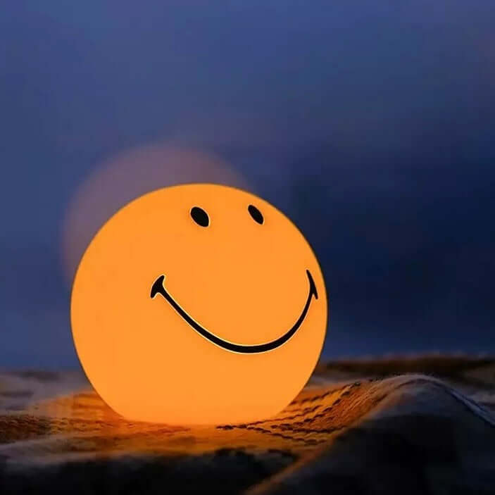 Creative Dutch Smiley Lamp – Waterproof Emoji Mood Light