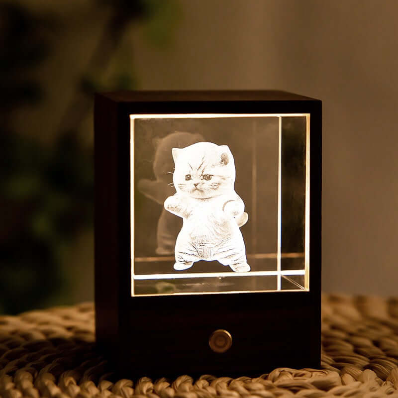 3D Crystal Cat Night Light – Wooden Touch Lamp Gift Box