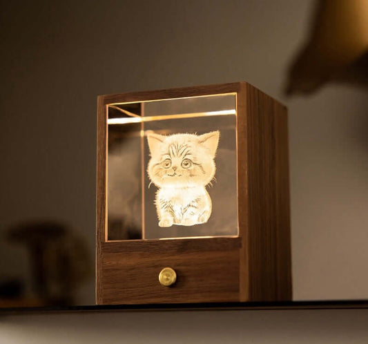 3D Crystal Cat Night Light – Wooden Touch Lamp Gift Box
