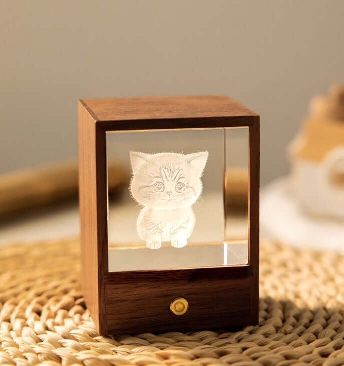 3D Crystal Cat Night Light – Wooden Touch Lamp Gift Box