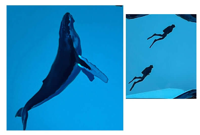 Whale Cave Resin Lamp – Ocean Art Wooden Night Light Decor