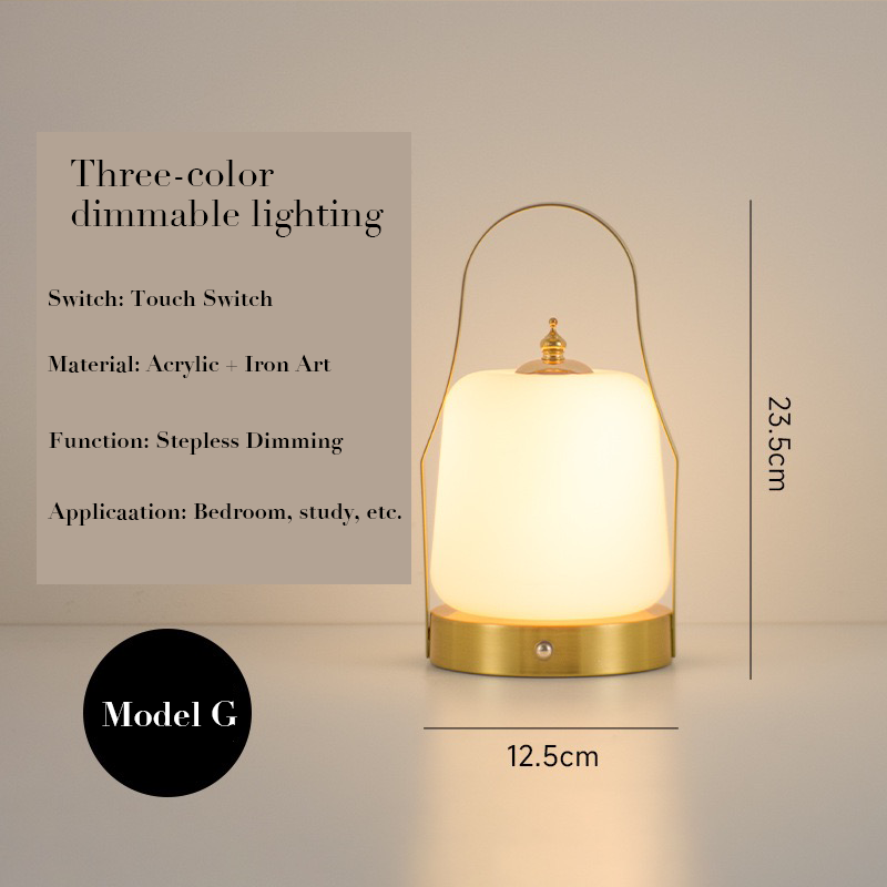 LED rechargeable wall-mounted light & multifunctional portable ambient light